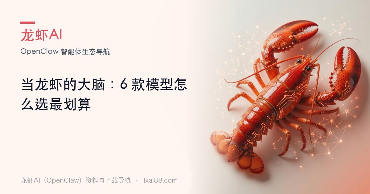 模型大脑封面